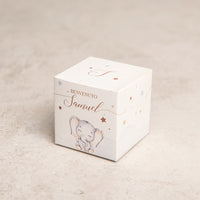 Super Cute Elephant cube Box